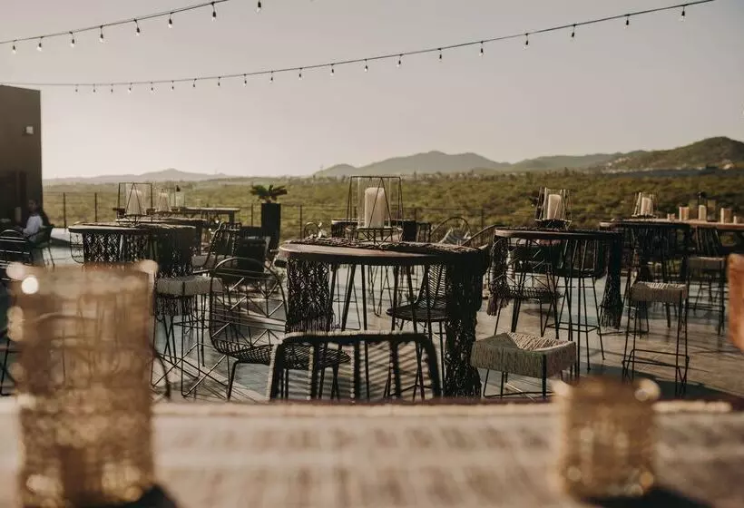 The Cape, A Thompson Hotel, By Hyatt