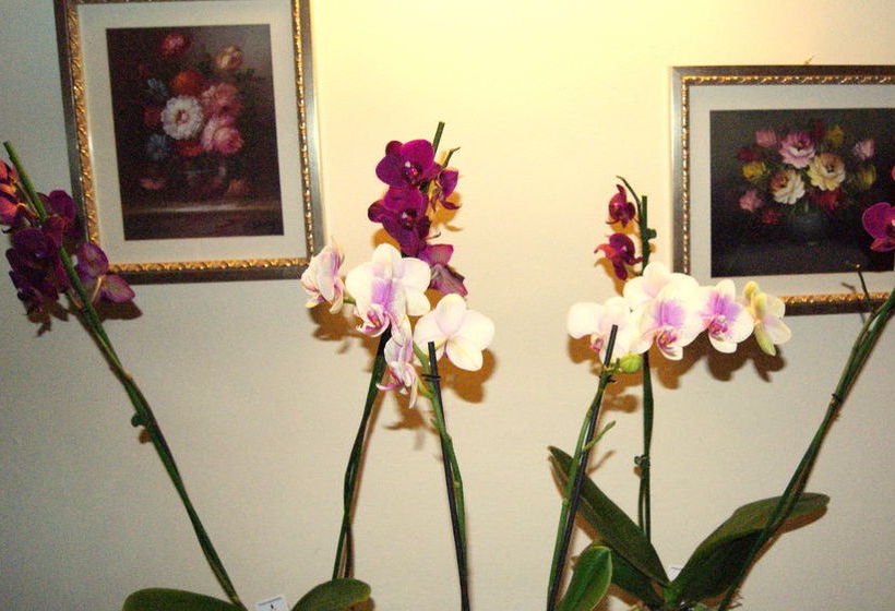 Отель Vettore Dal 1947