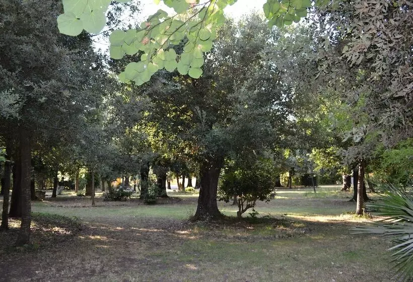 Отель Villa Graziani