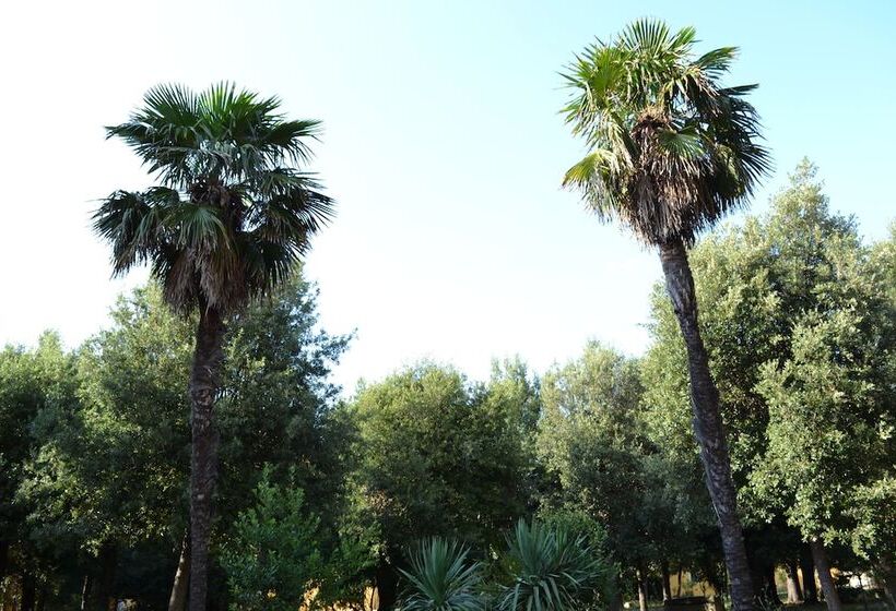 בית מלון כפרי Villa Graziani