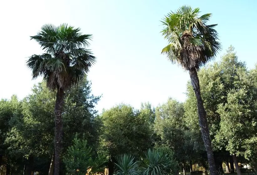 Отель Villa Graziani