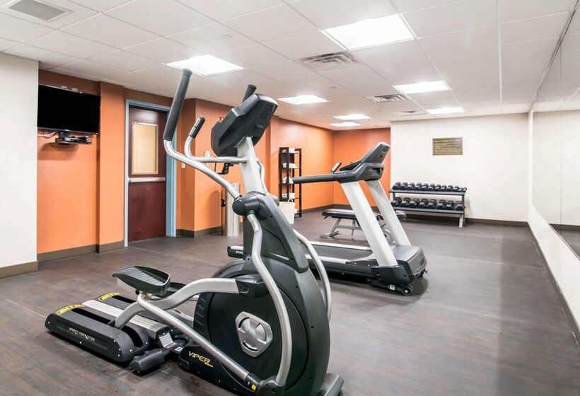 汽车旅馆  Comfort Inn & Suites Brattleboro I 91