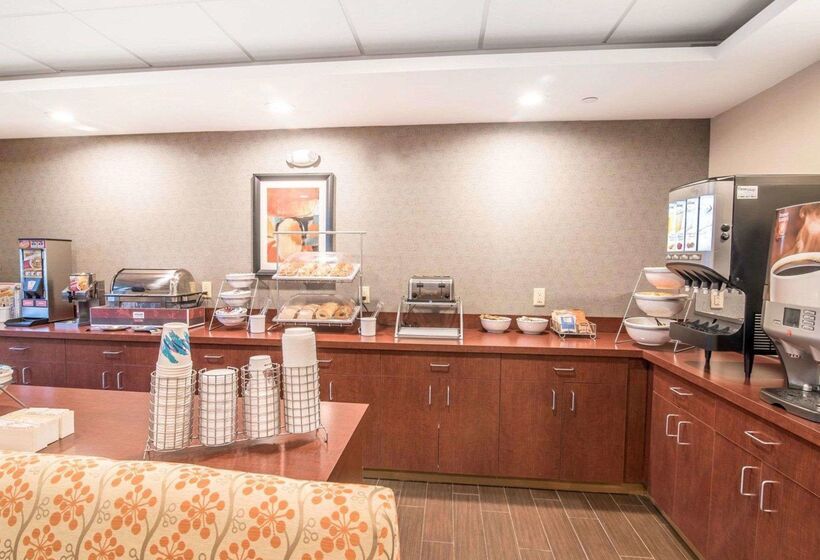 汽车旅馆  Comfort Inn & Suites Brattleboro I 91