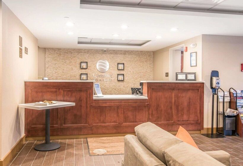 汽车旅馆  Comfort Inn & Suites Brattleboro I 91