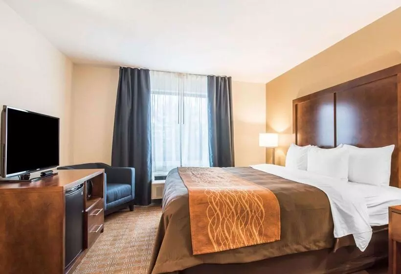 Motel Comfort Inn & Suites Brattleboro I 91