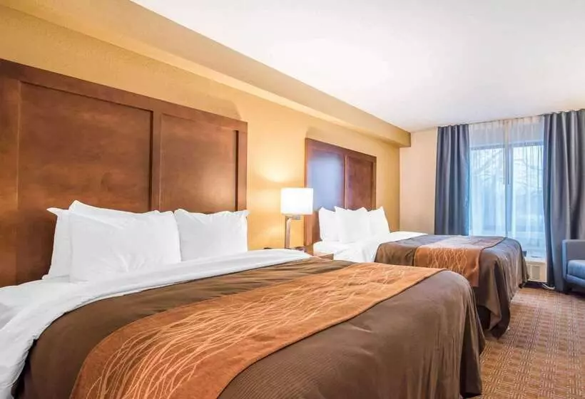 Motel Comfort Inn & Suites Brattleboro I 91