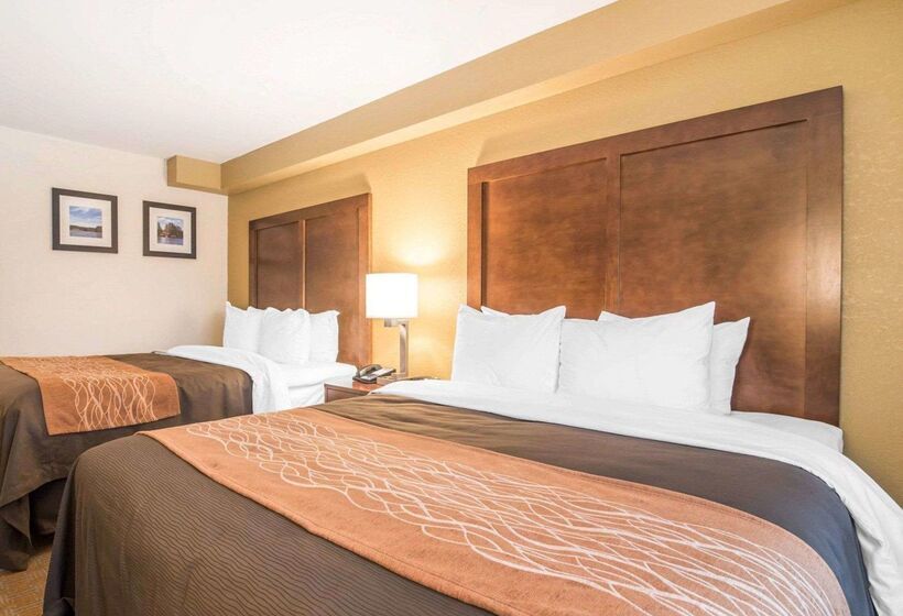 汽车旅馆  Comfort Inn & Suites Brattleboro I 91