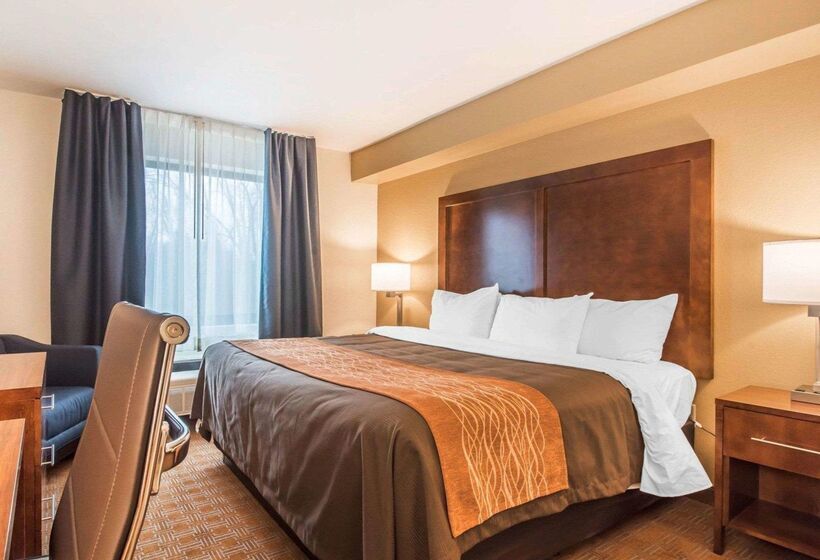 汽车旅馆  Comfort Inn & Suites Brattleboro I 91