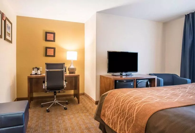 Motel Comfort Inn & Suites Brattleboro I 91