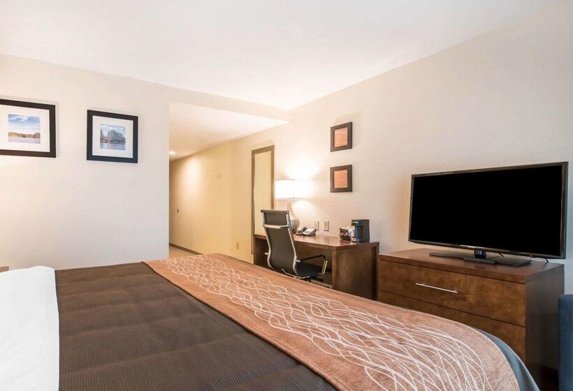 汽车旅馆  Comfort Inn & Suites Brattleboro I 91