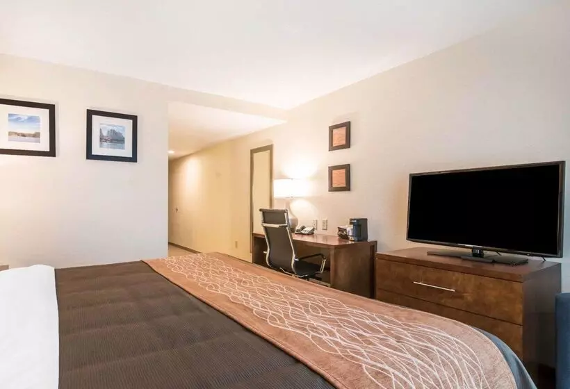 Motel Comfort Inn & Suites Brattleboro I 91