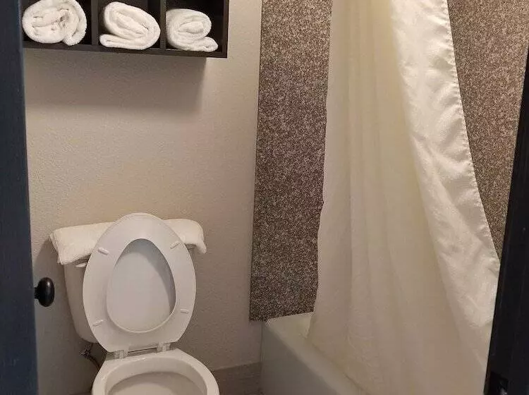 모텔 Homestay Inn & Suites