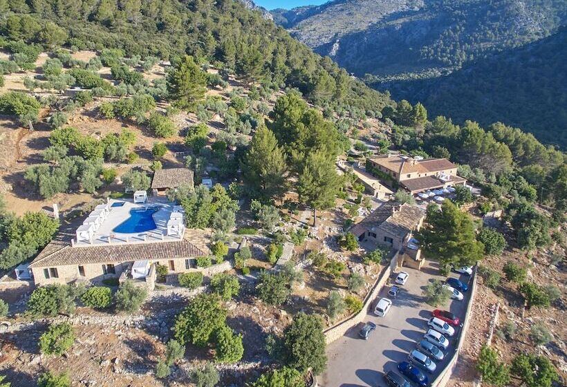 پانسیون Finca Albellons