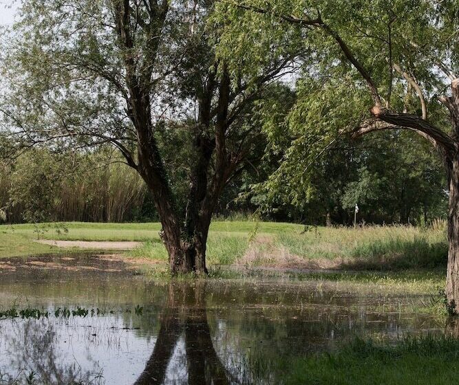 住所  Adonis Arles by Olydea