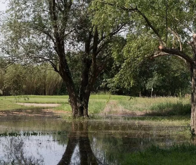 住所  Adonis Arles by Olydea