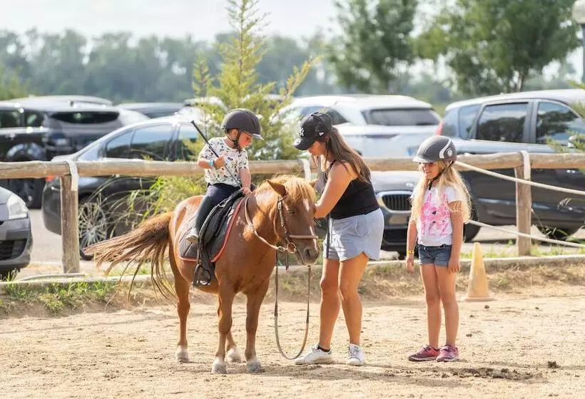 住所  Adonis Arles by Olydea