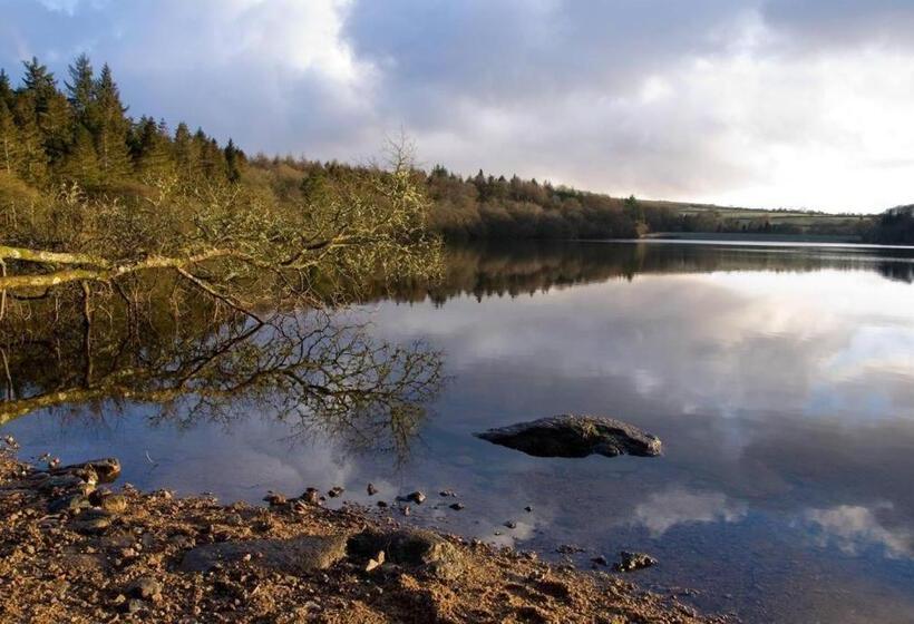 住宿加早餐 The Rosemont