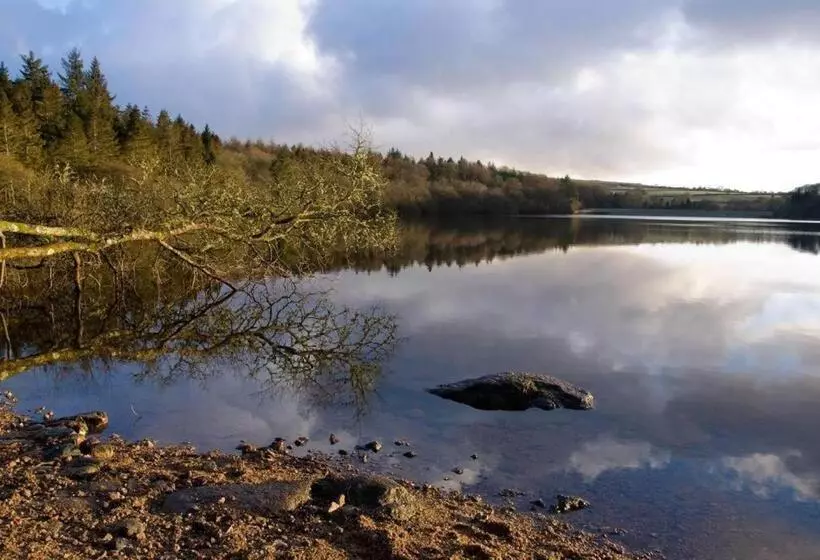 住宿加早餐 The Rosemont