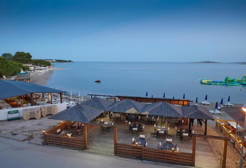 בית מלון כפרי Koral