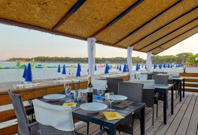 בית מלון כפרי Koral