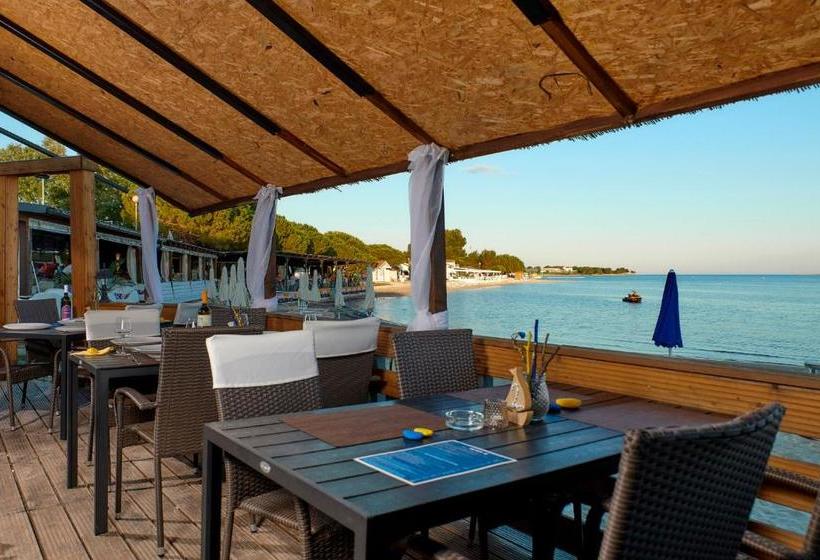 בית מלון כפרי Koral