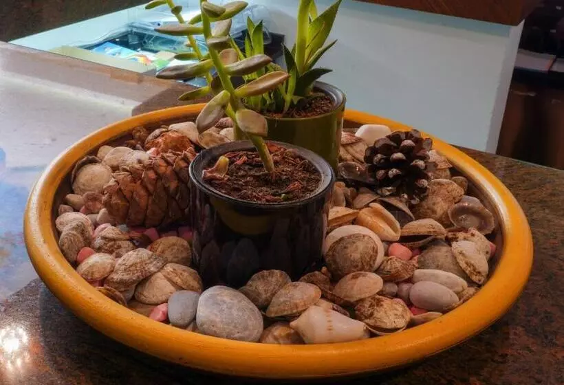 בית מלון כפרי Parador Beach