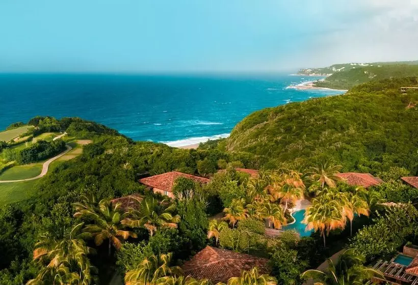 استراحتگاه Royal Isabela