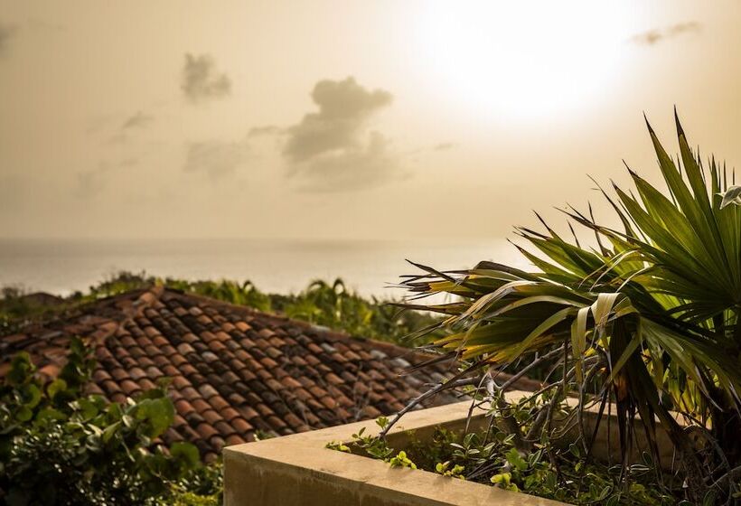 استراحتگاه Royal Isabela