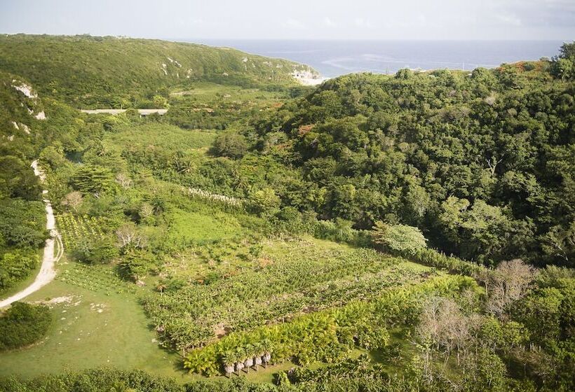 استراحتگاه Royal Isabela