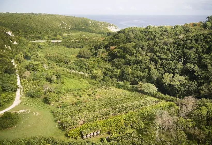 استراحتگاه Royal Isabela