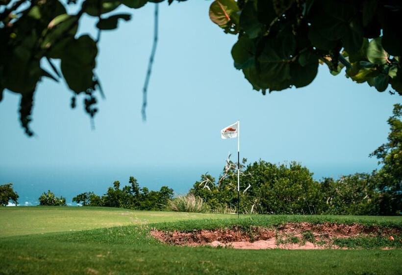 استراحتگاه Royal Isabela