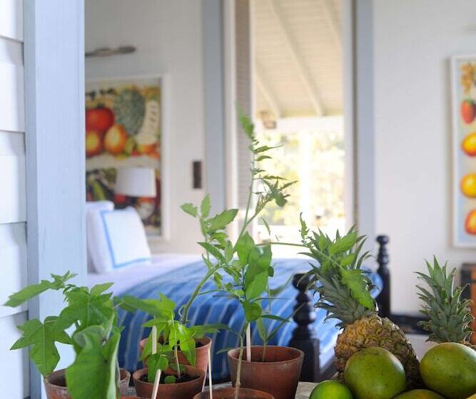 Belle Mont Sanctuary Resort Kittitian Hill