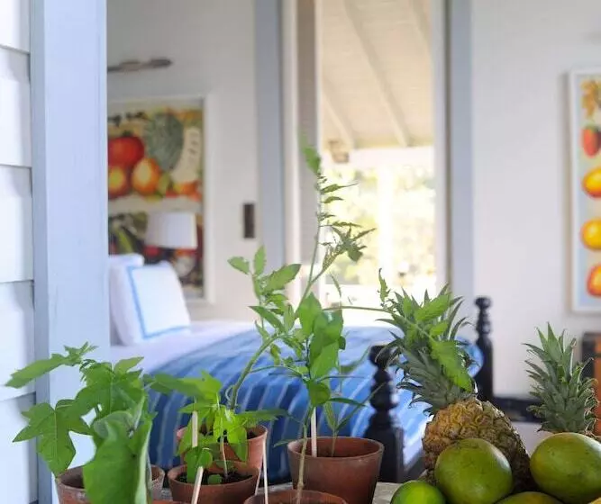 Belle Mont Sanctuary Resort Kittitian Hill