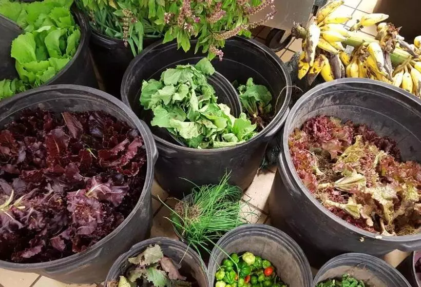 Belle Mont Sanctuary Resort Kittitian Hill