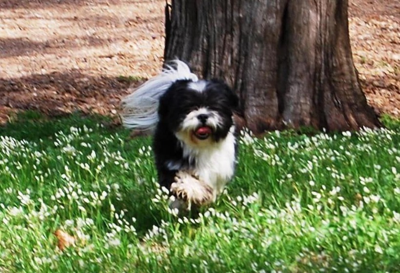 Glenfield Plantation Historic Antebellum Bed And Breakfast