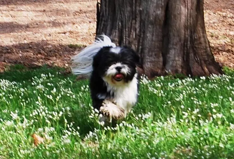 Glenfield Plantation Historic Antebellum Bed And Breakfast