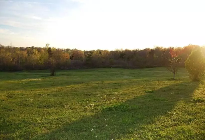 Glenfield Plantation Historic Antebellum Bed And Breakfast