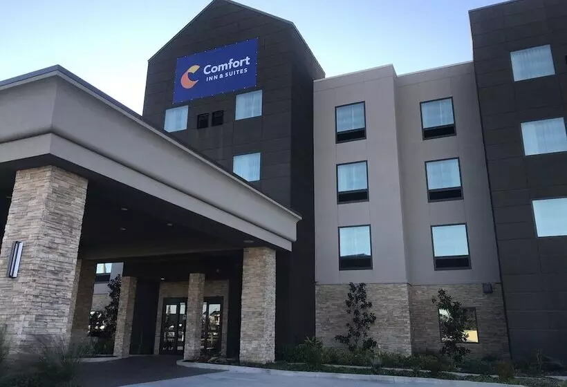 Отель Comfort Inn & Suites