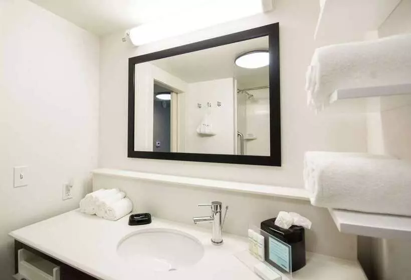 ホテル Hampton Inn & Suites Orlando At Seaworld