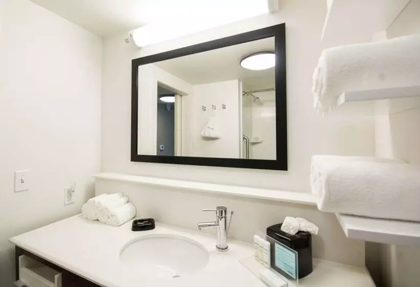 ホテル Hampton Inn & Suites Orlando At Seaworld