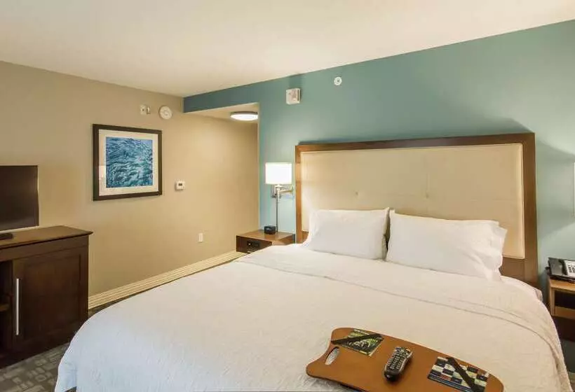 ホテル Hampton Inn & Suites Orlando At Seaworld