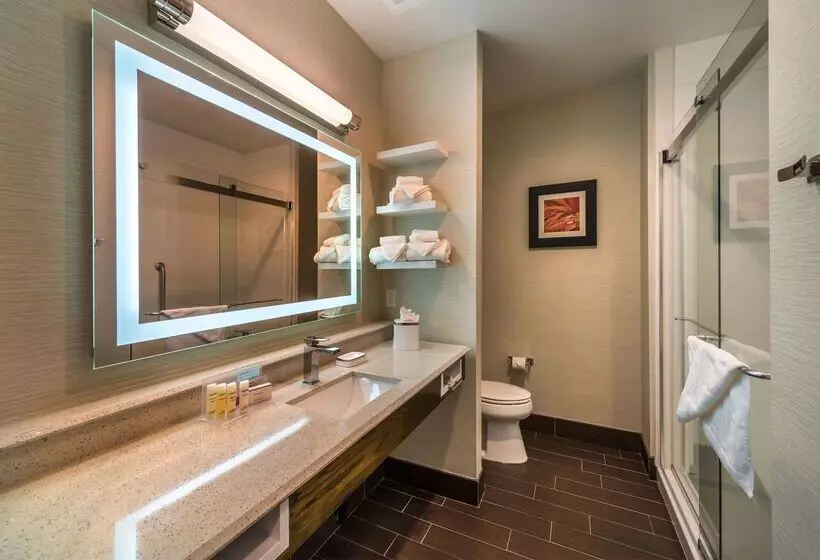 酒店 Hampton Inn & Suites Reno West