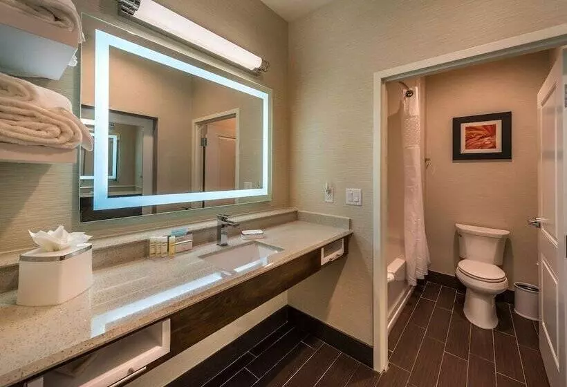 酒店 Hampton Inn & Suites Reno West