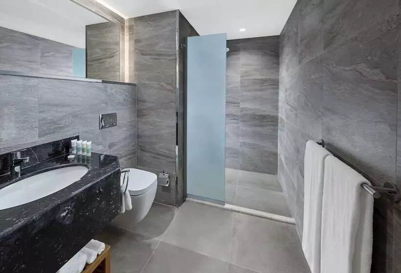 هتل Holiday Inn Tabuk, An Ihg