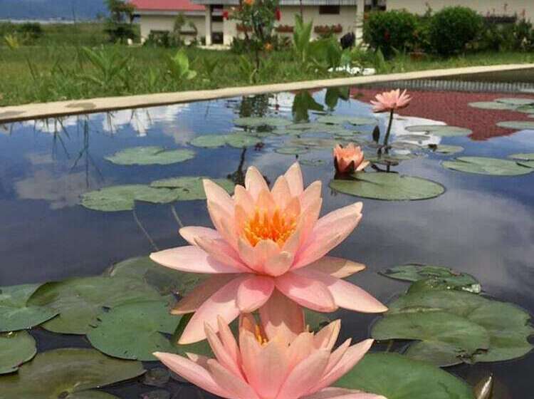 هتل Inle Garden