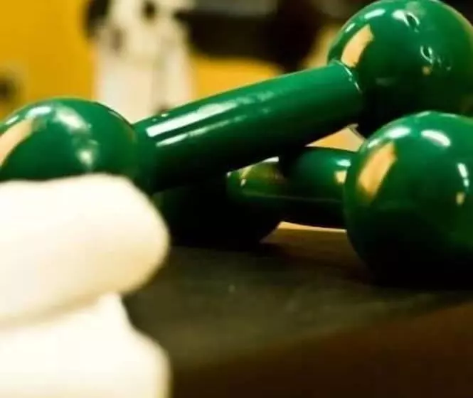 Отель Timbó Park