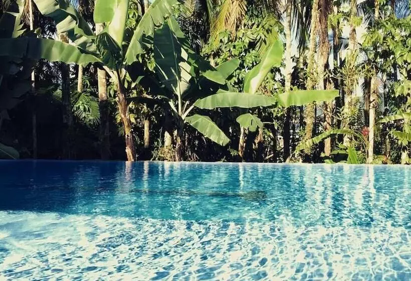 Отель Timbó Park