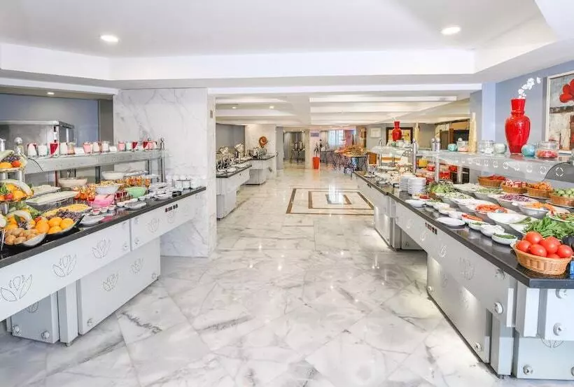 Tolip El Galaa Hotel Cairo