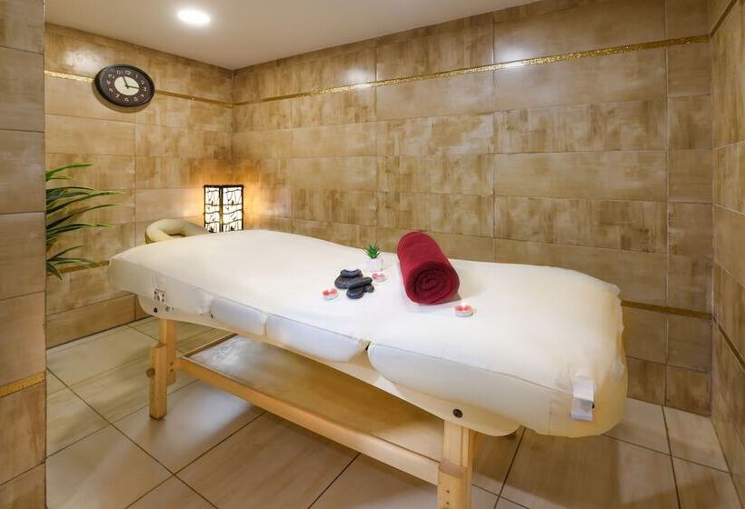 Tolip El Galaa Hotel Cairo