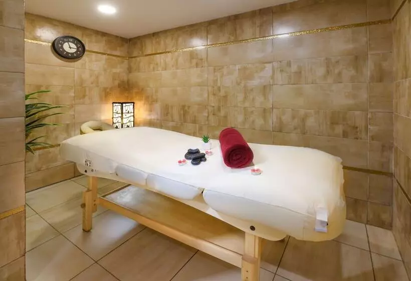 Tolip El Galaa Hotel Cairo